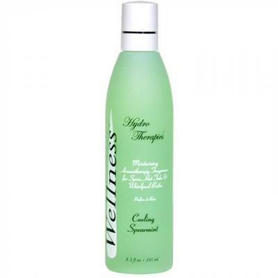 Ароматерапия Wellness для джакузи и спа бассейнов Освежающая мята 245мл