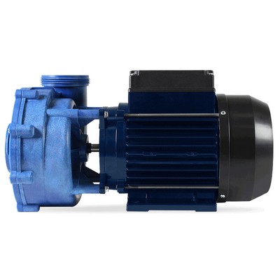 Насос Gecko Flo-Master XP2 BL CE, 2HP, 230 V, 50HZ, 1SP